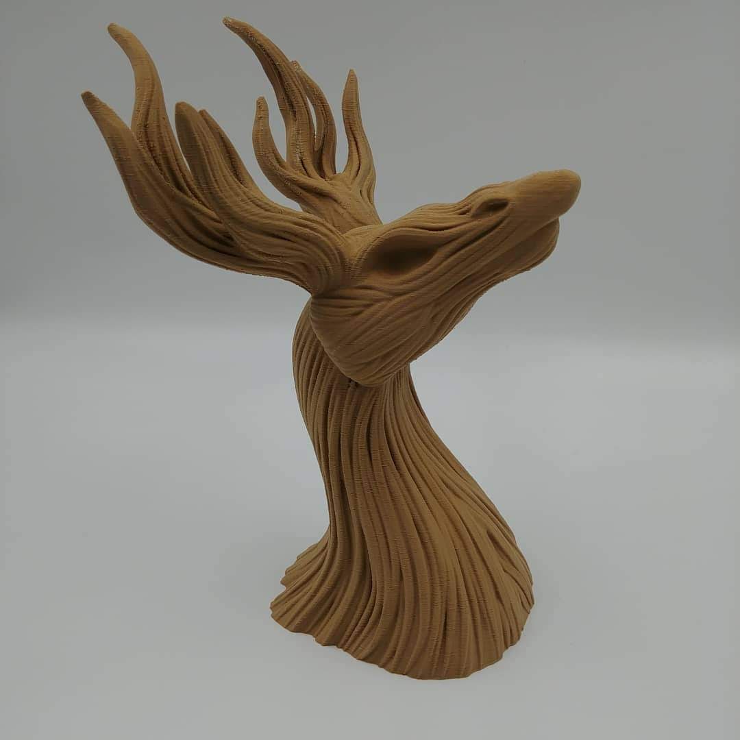 Stagroot