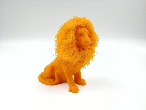 Hairy Lion